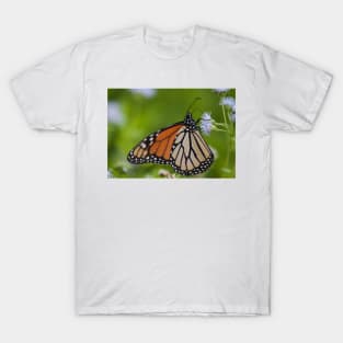 Butterfly Magic T-Shirt